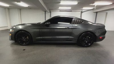 2019 Ford Mustang EcoBoost