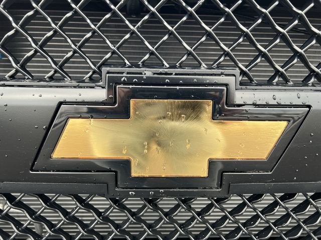 2026 Chevrolet Express Passenger LS