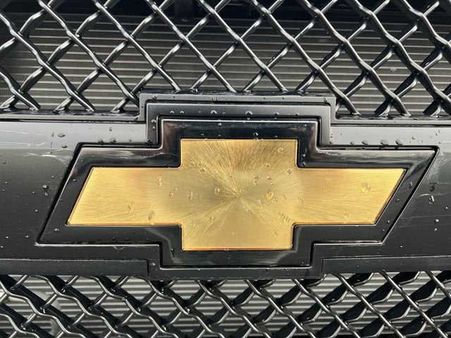 2026 Chevrolet Express Passenger LS
