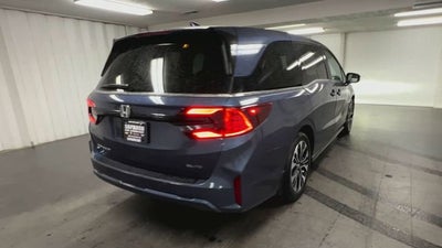 2025 Honda Odyssey Elite