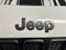 2021 Jeep Renegade 80th Anniversary 4x4